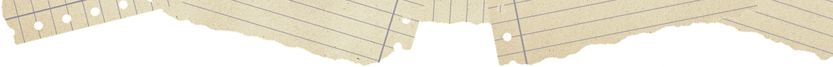 An assortment of ripped notebook paper.