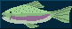 vibes.fish
