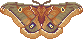 Pixel art of a polyphemus moth